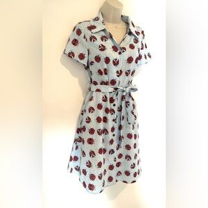 SM Wardrobe lady bug dress 🐞